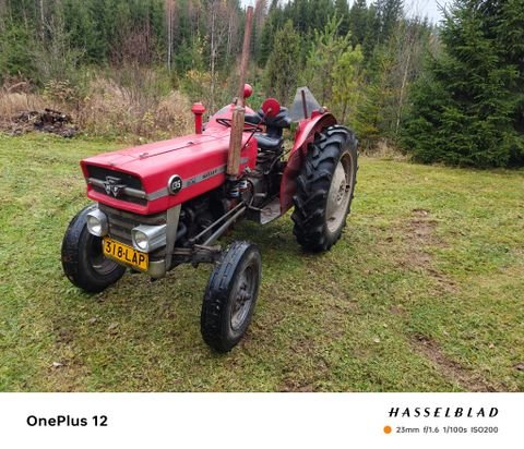Massey Ferguson 135 vm. 1968