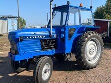 Leyland 384