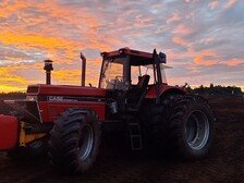 Case IH 1455xl(8)