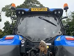 New Holland Agriculture USED New Holland T6.180 Tractor For Sale