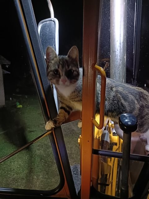 Ostetaan maatalouskoneita