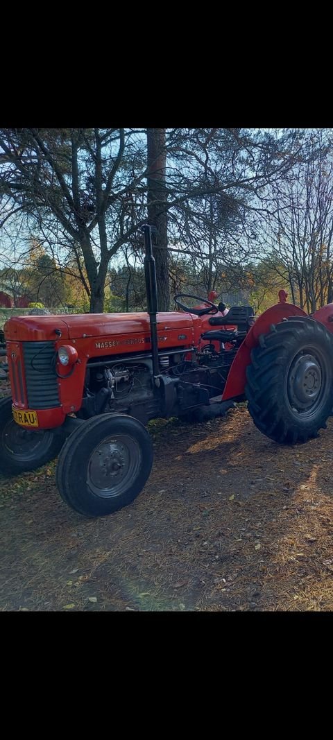 Traktori Massey Ferguson 65